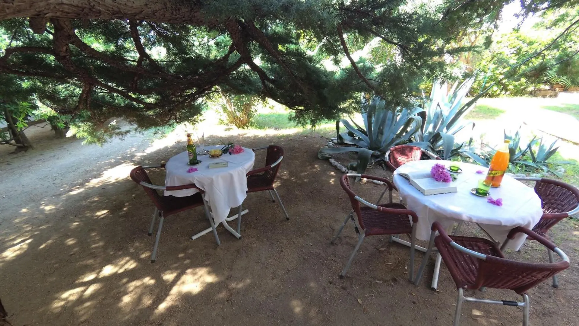 Grosse Ferienwohnung In Pag Mit Privater Terrasse Pag Town
