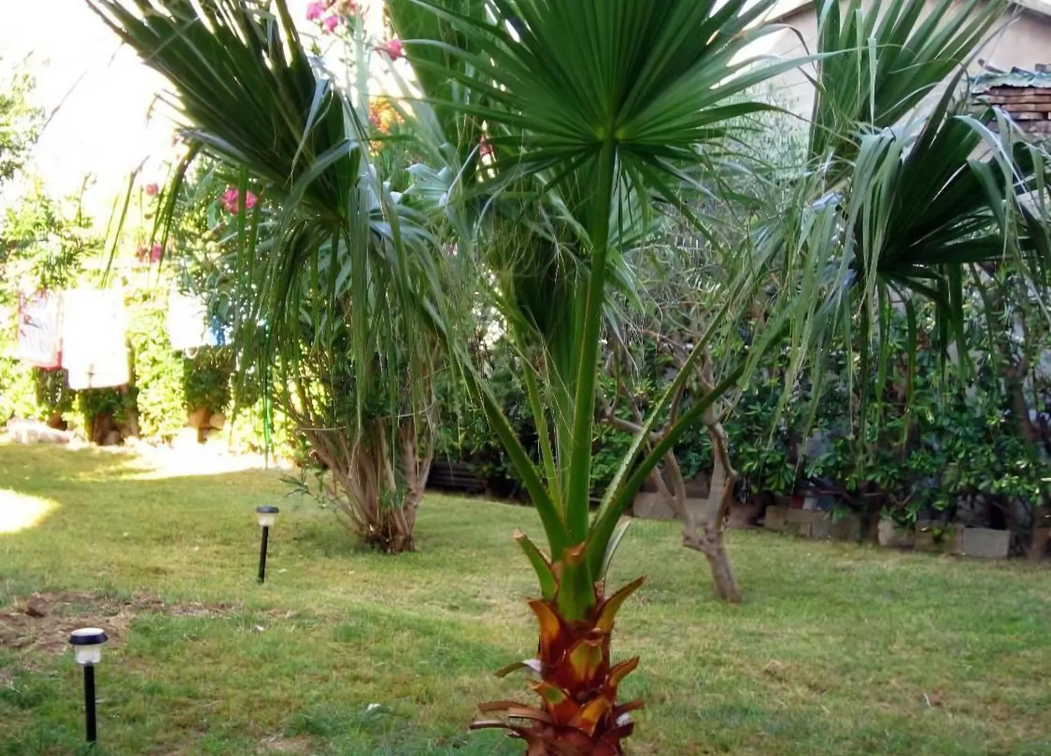Apartment Grosse Ferienwohnung In Pag Mit Privater Terrasse Pag Town Croatia